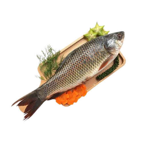 Cá Trôi Làm Sạch Size 3 – 3,5kg