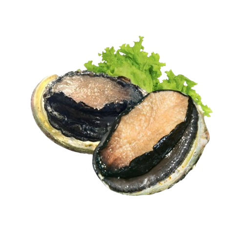 Bào ngư úc size 2-3 con/kg