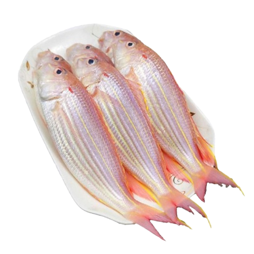 Cá đổng Size 6 - 7 con/kg