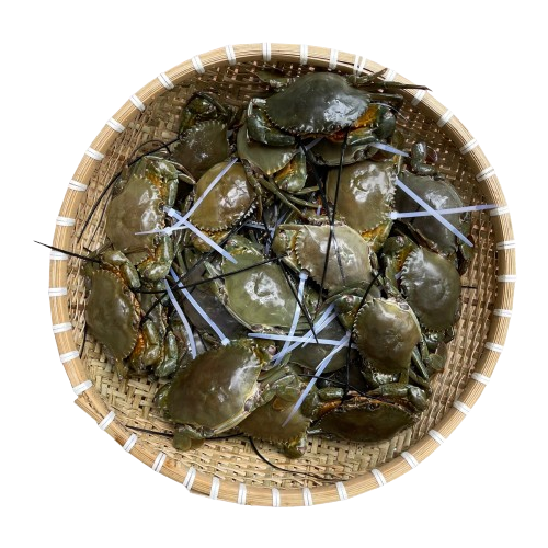 Cua Cốm (Cua 2 Da) VIP Size 140–190g/Con