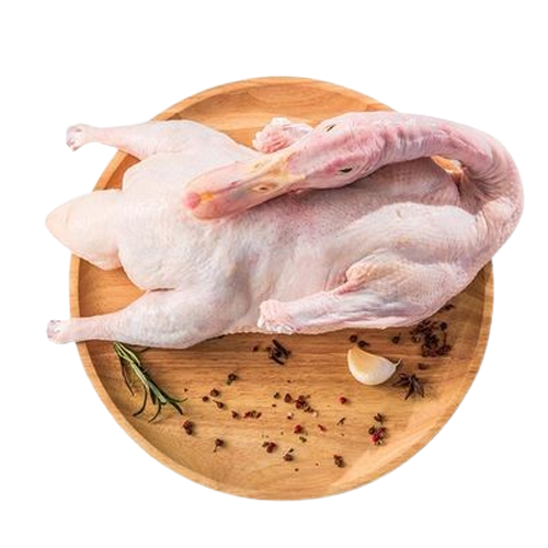 Vịt Xiêm Tươi Sống