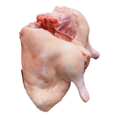 Đùi vịt góc tư