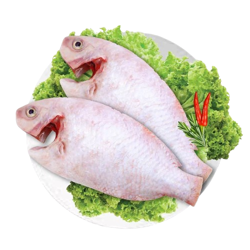 Cá Điêu Hồng Làm Sạch Size 0,5 - 1kg