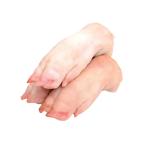 Móng heo trước NWT