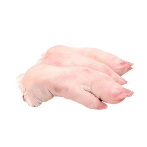 Dựng heo trước Seara