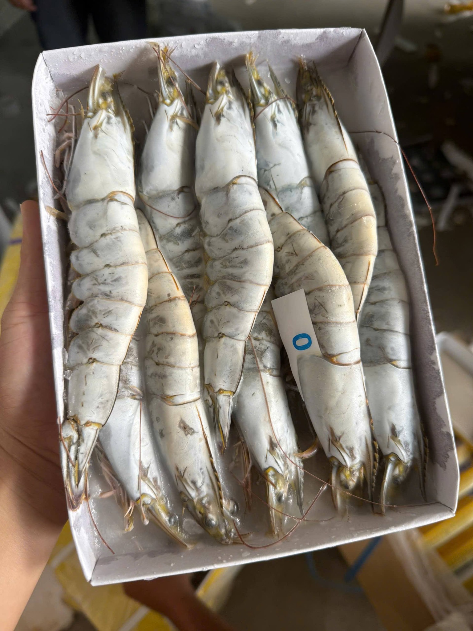 tôm thẻ đông lạnh nguyên con size 25-30 con/kg