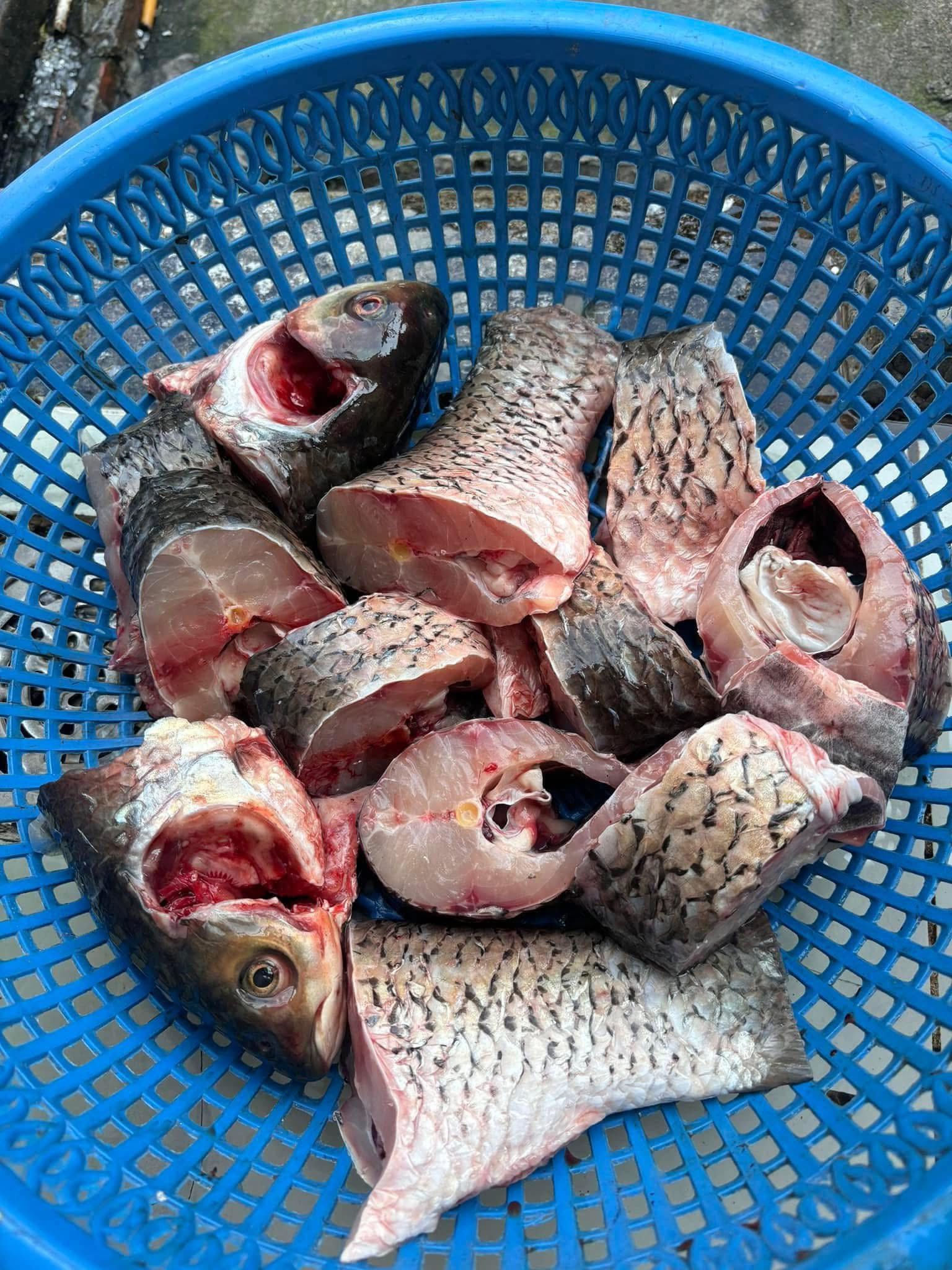 cá trắm đen làm sạch size 1,5-2 kg/con