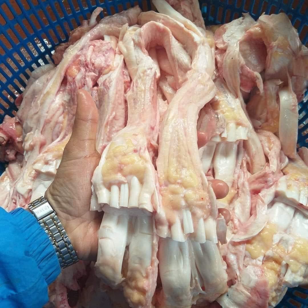 gân trâu AGRO 09 đông lạnh nguyên liệu tại kho VIFOOD