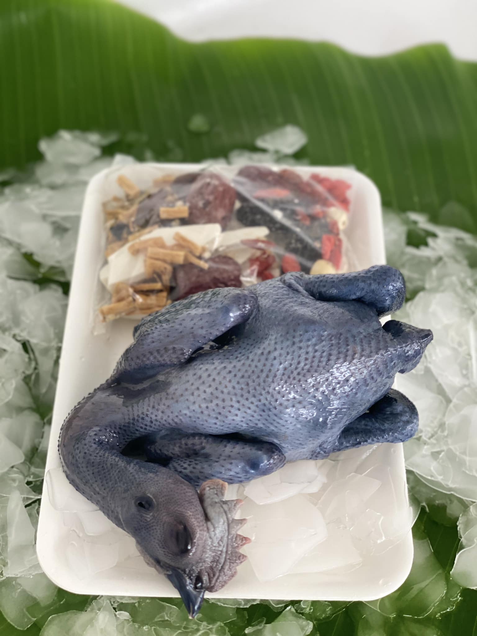 gà ác sơ chế sạch không nội tạng