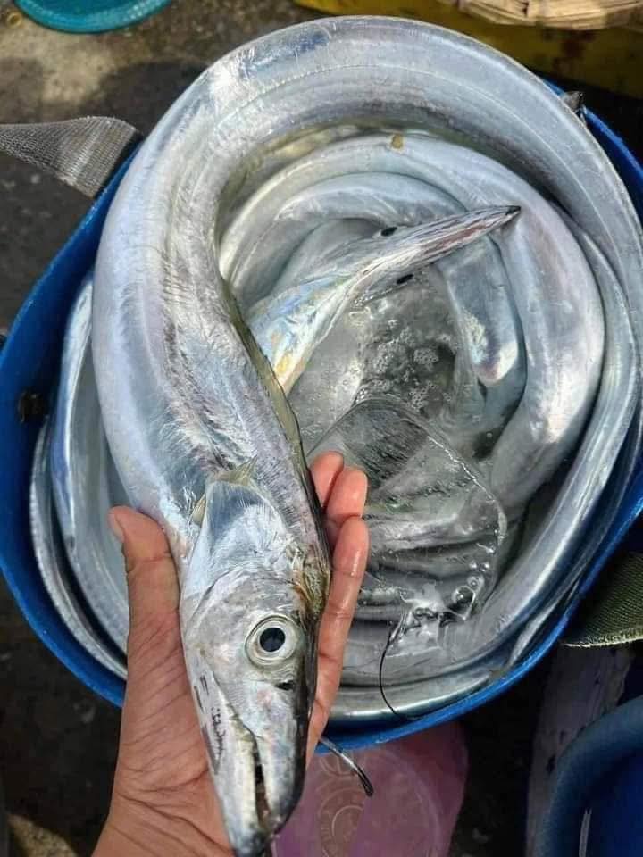 cá hố thiên nhiên làm sạch size 300-500gr vifood