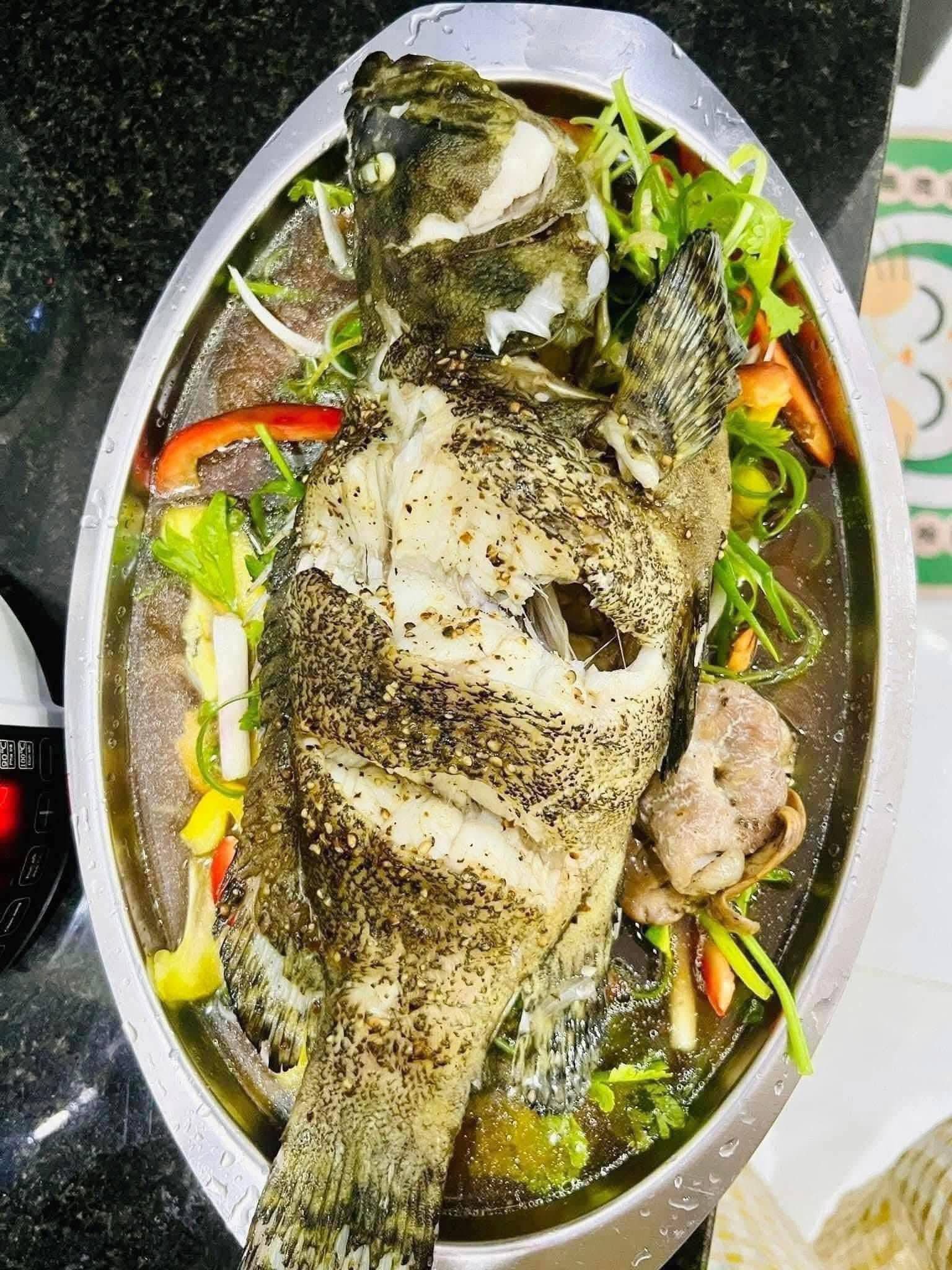 món ngon từ cá mú bông cao cấp