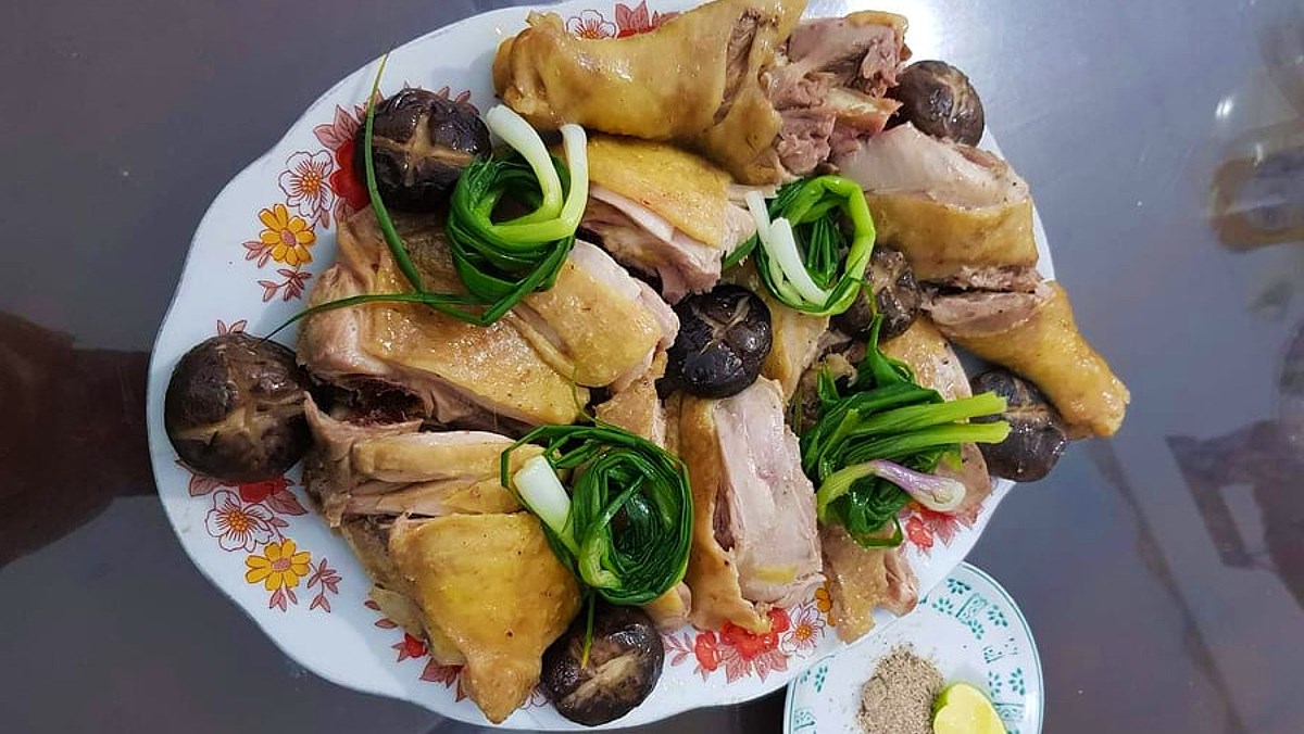 gà ta leo cây hấp hành