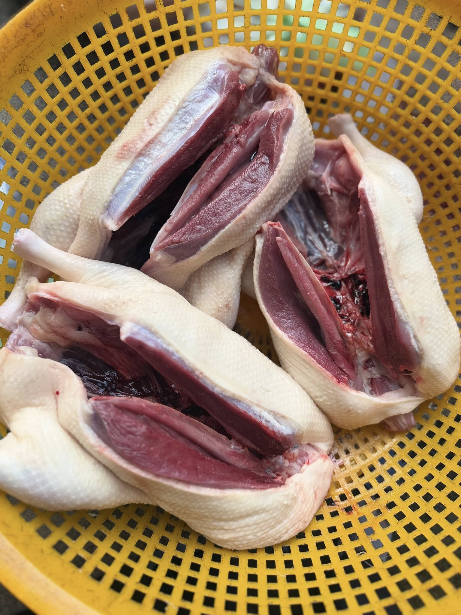 bọng vịt làm sạch