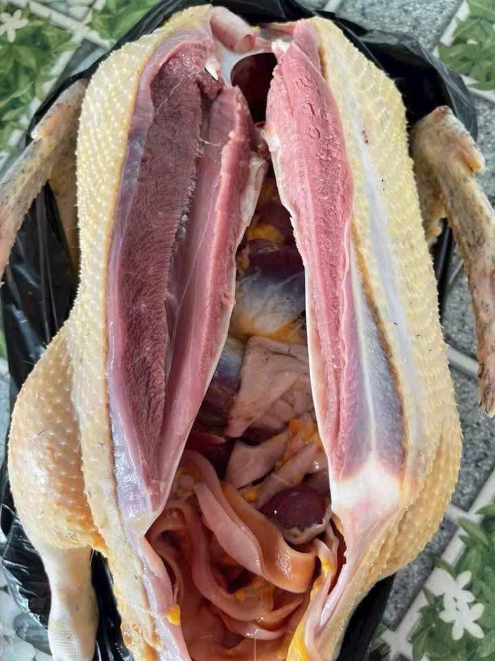 vịt xiêm giao sỉ vifood