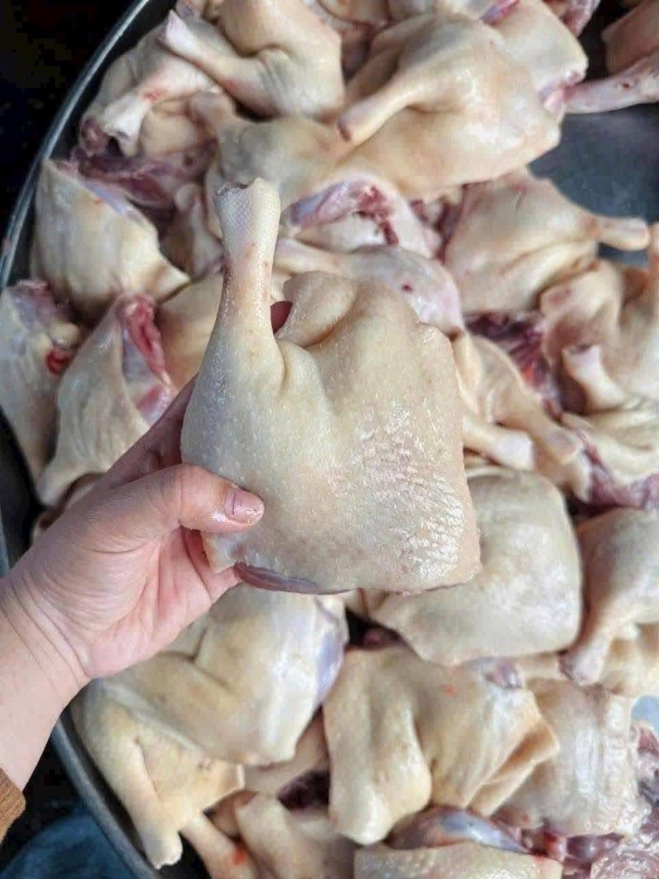 đùi vịt góc tư tươi