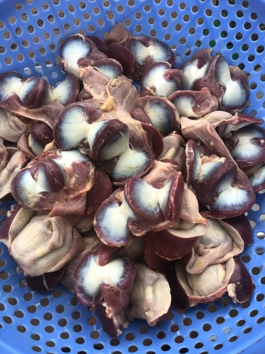 mề vịt giao sỉ vifood