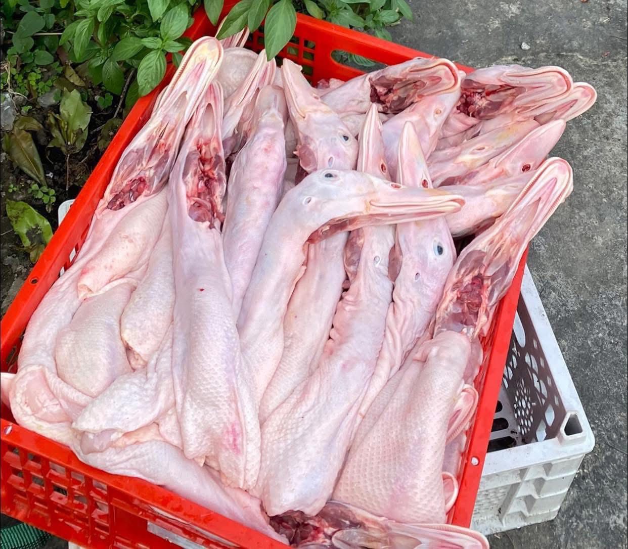 đầu cổ vịt làm sạch