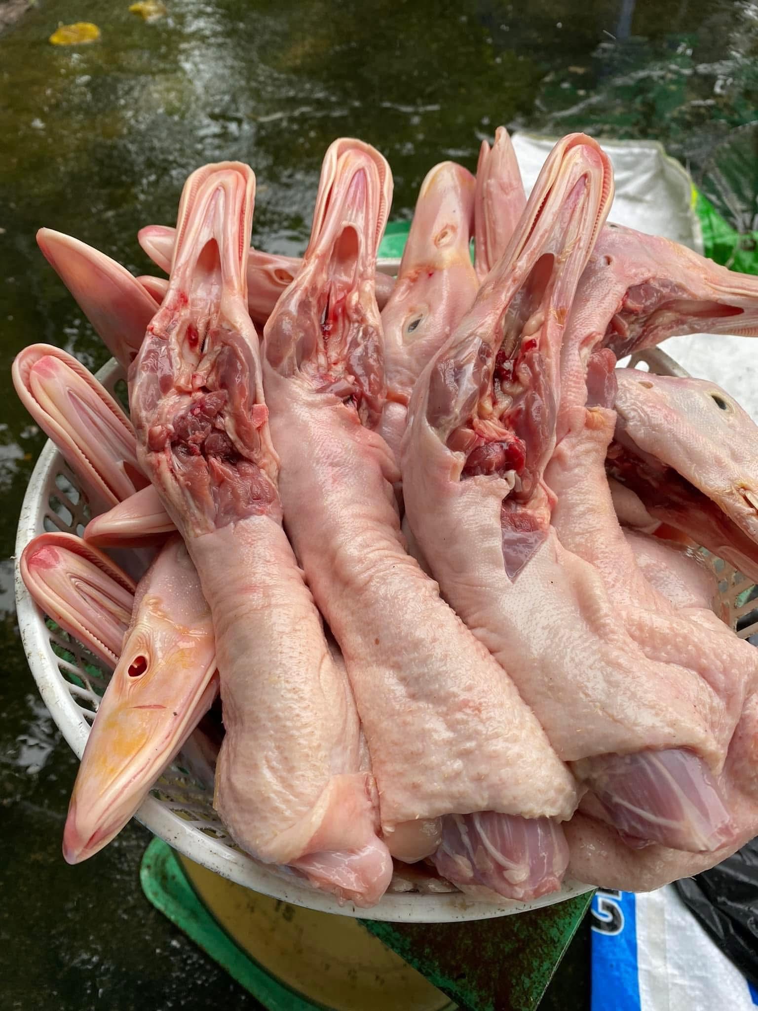 đầu cổ vịt giao sỉ vifood