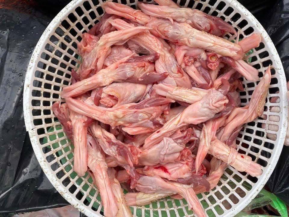 lưỡi vịt tươi