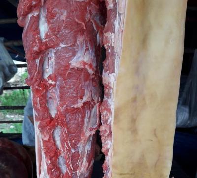 thăn bê cắt sỉ