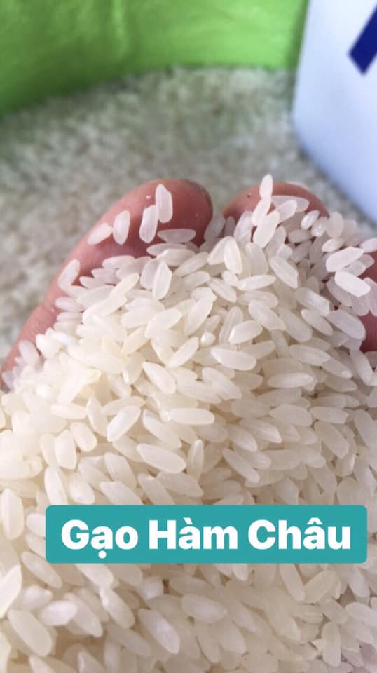 gạo hàn châu hạt dài