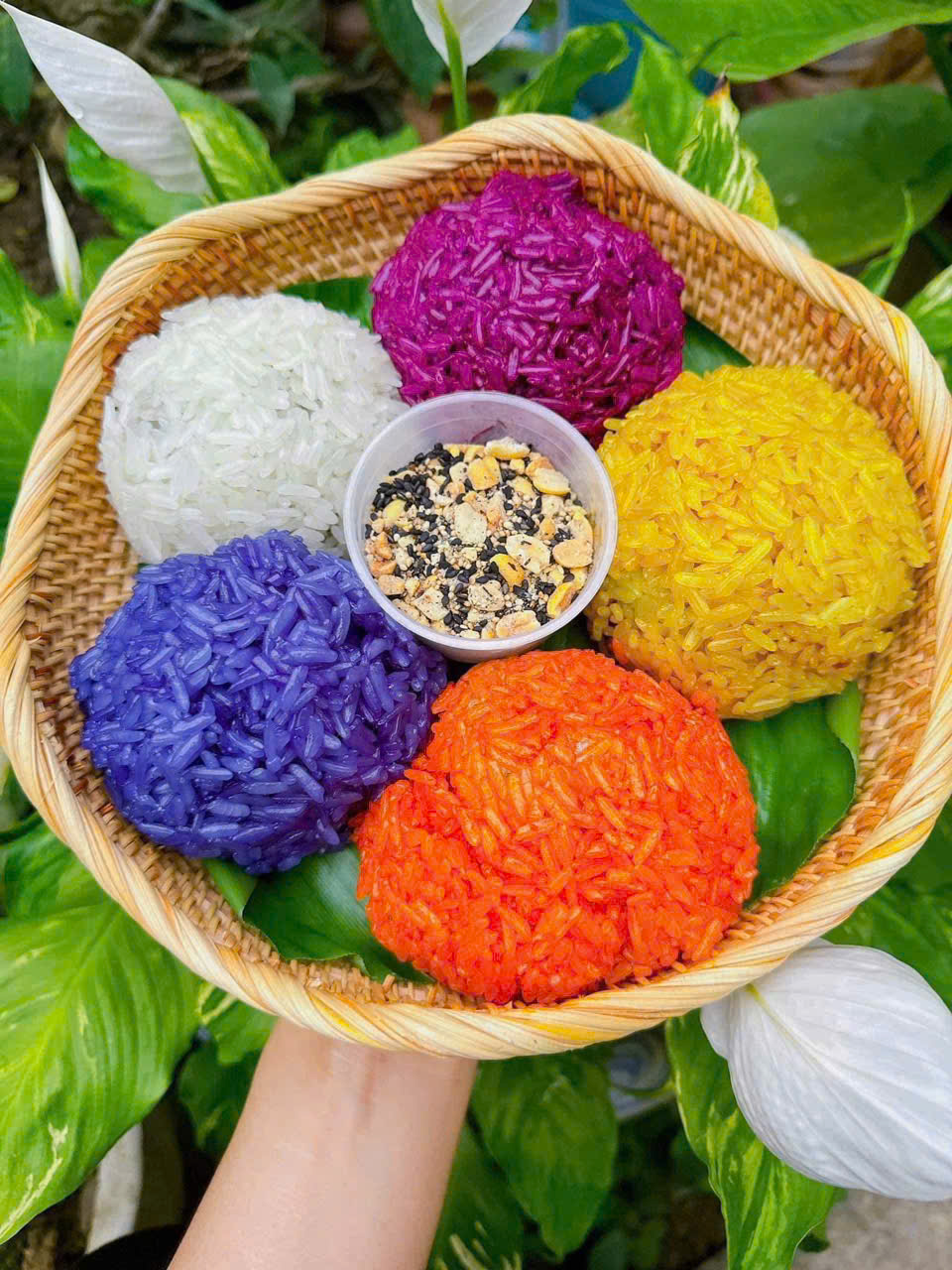 xôi ngũ sắc nếp điện biên