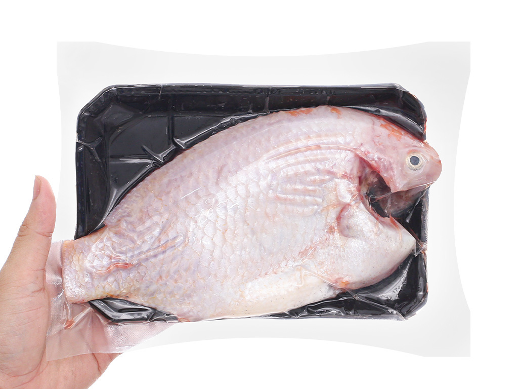 cá điêu hồng tươi giá sỉ