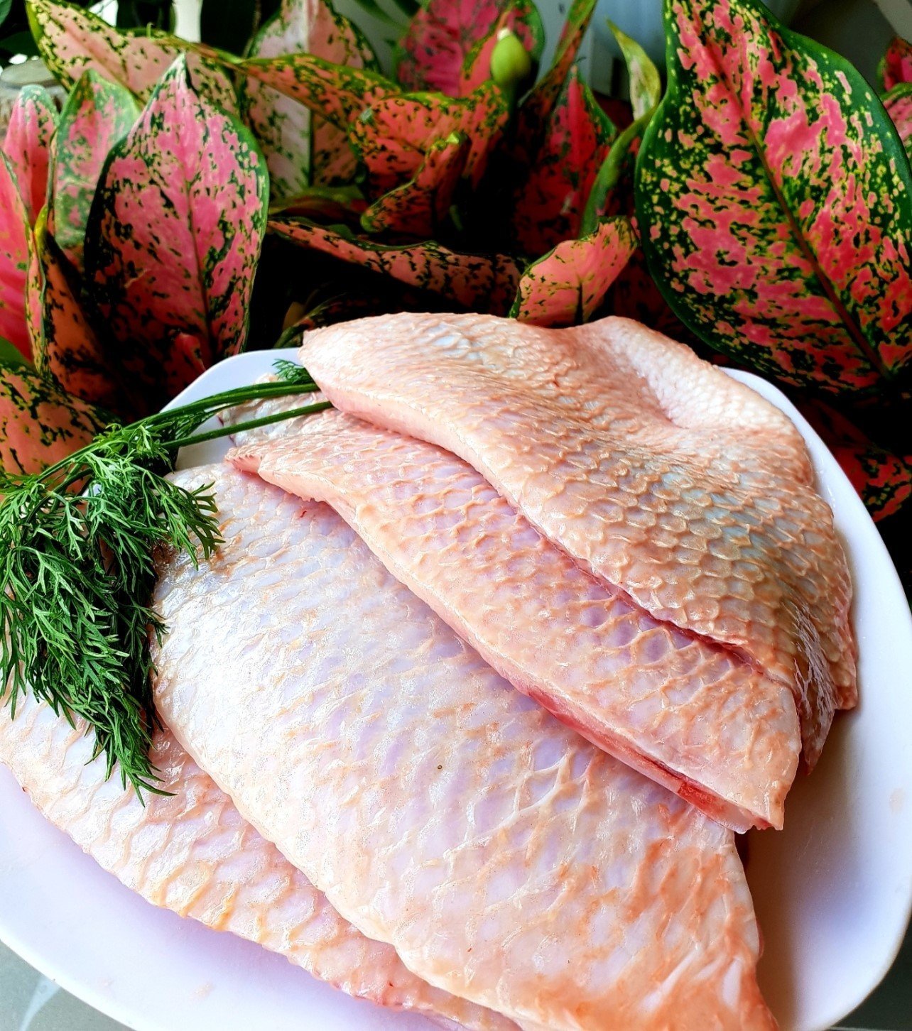 cá diêu hồng phi lê tươi