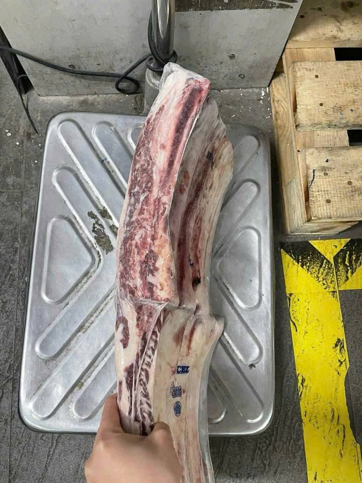 sườn bò mỹ có xương giá sỉ