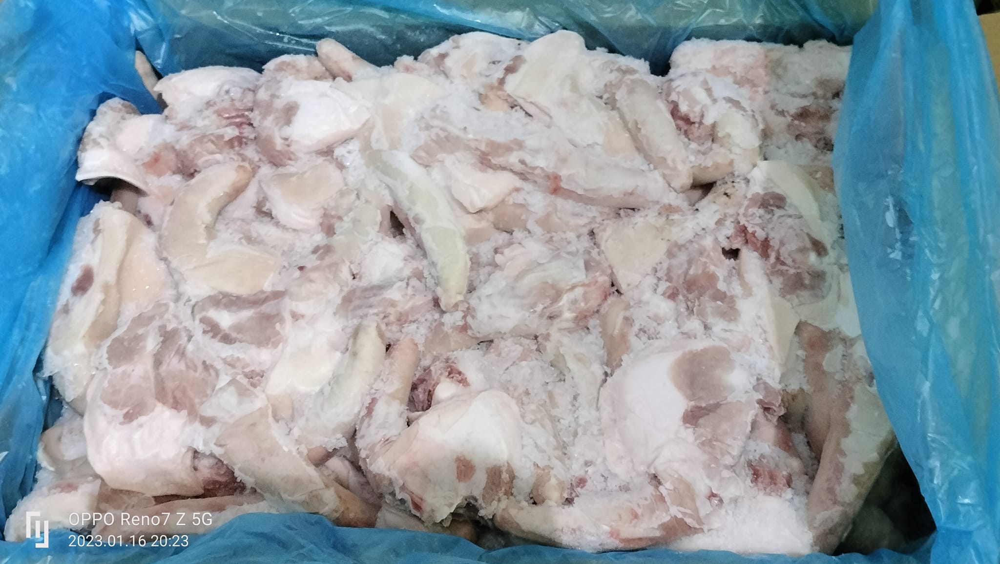 đuôi heo đông lạnh nhập khẩu úc