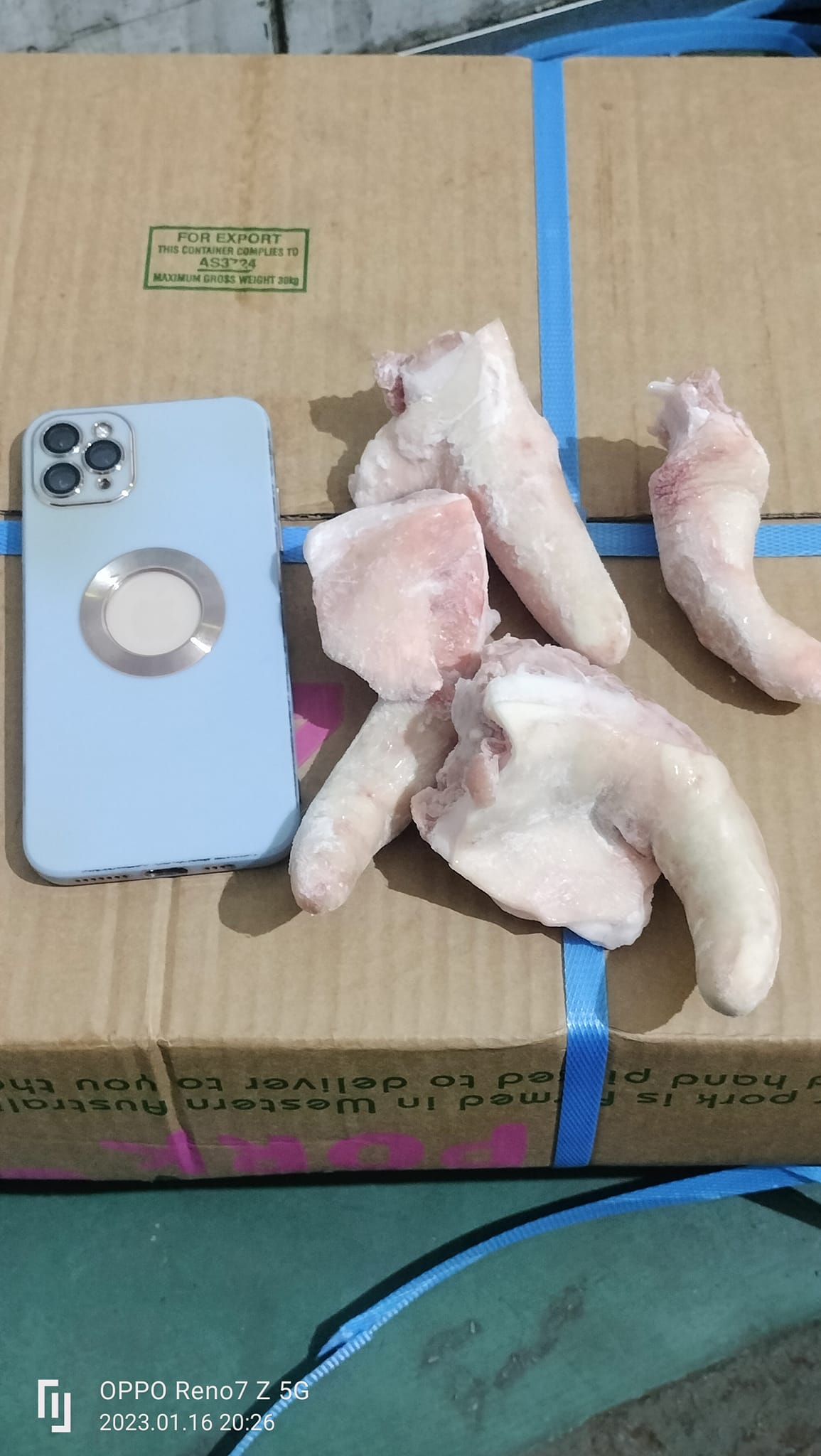 đuôi heo úc giá sỉ