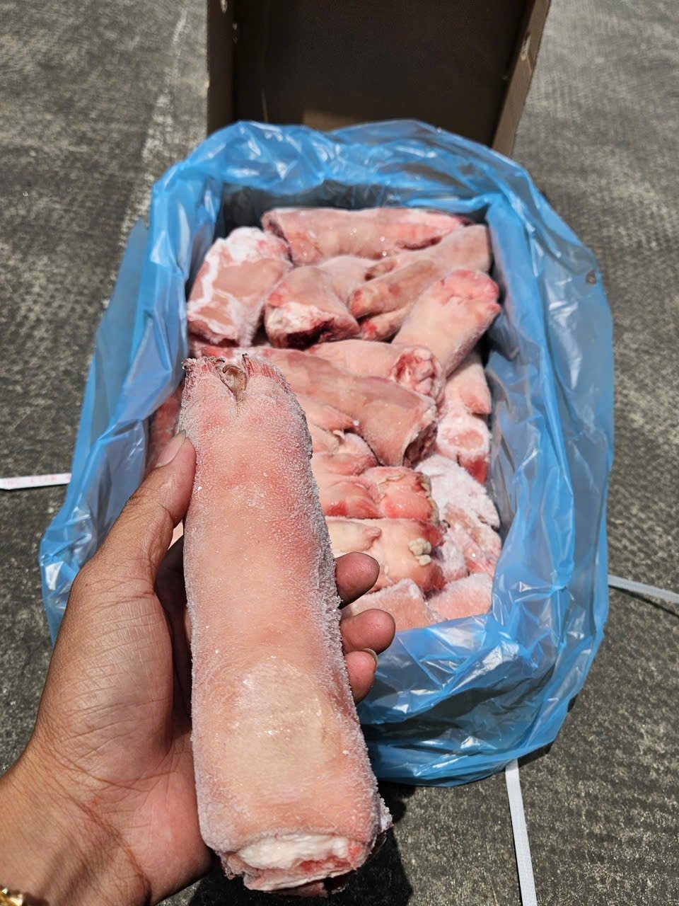 dựng heo trước coles úc