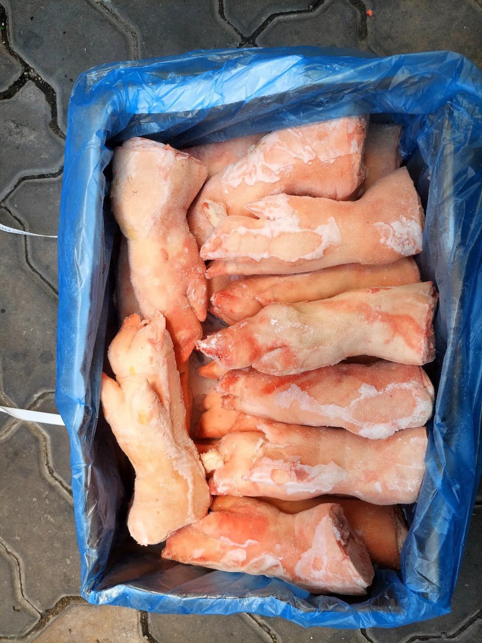 dựng heo trước úc giá sỉ