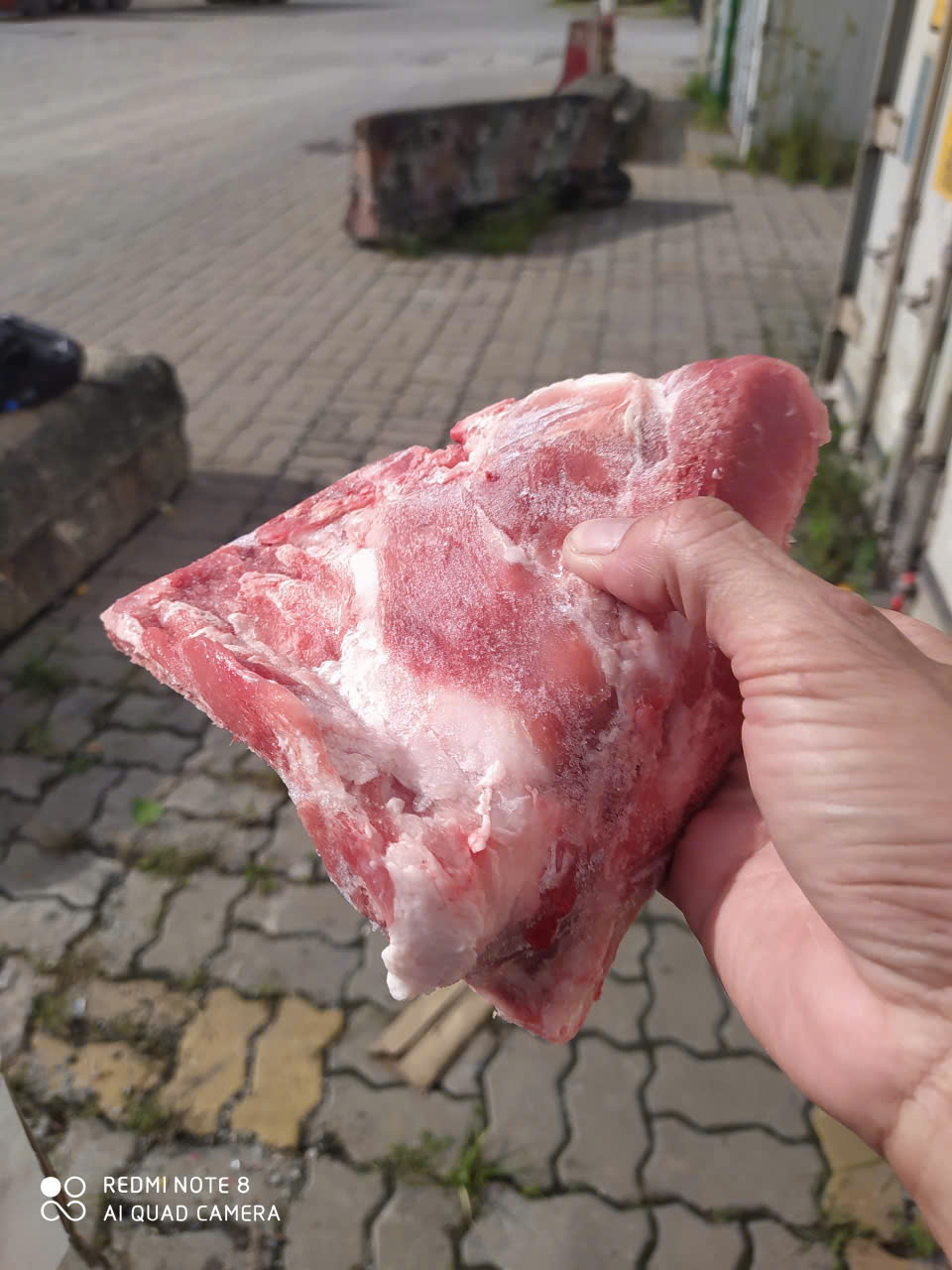 sườn vai heo nhập khẩu food family