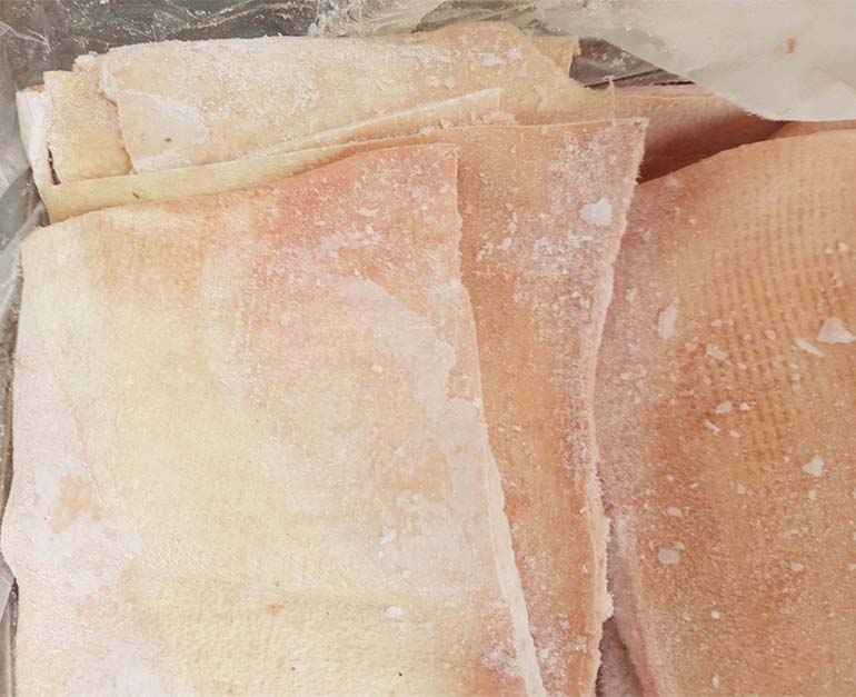 da heo norson mexico