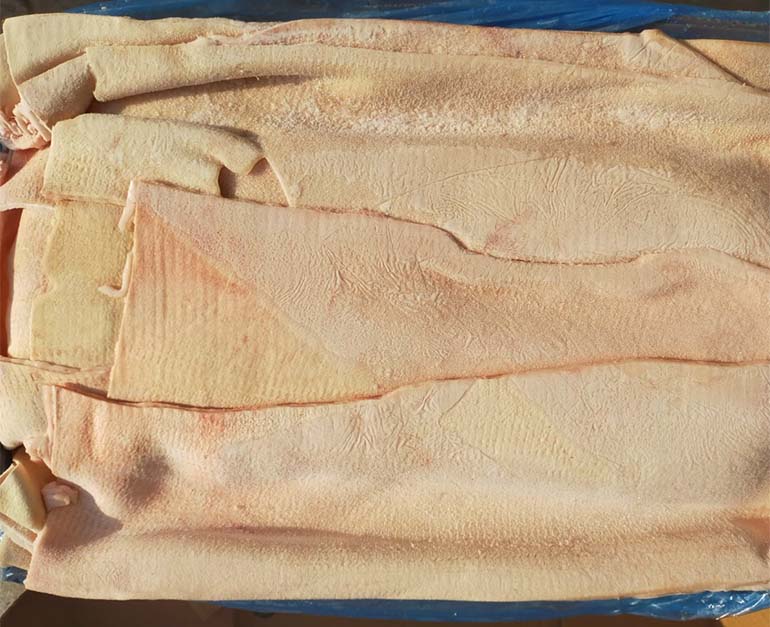 da lưng heo mpk nga