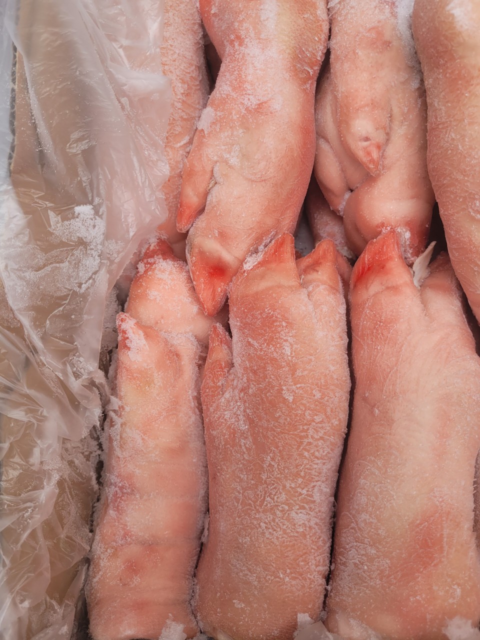 móng heo trước mir kar giá sỉ