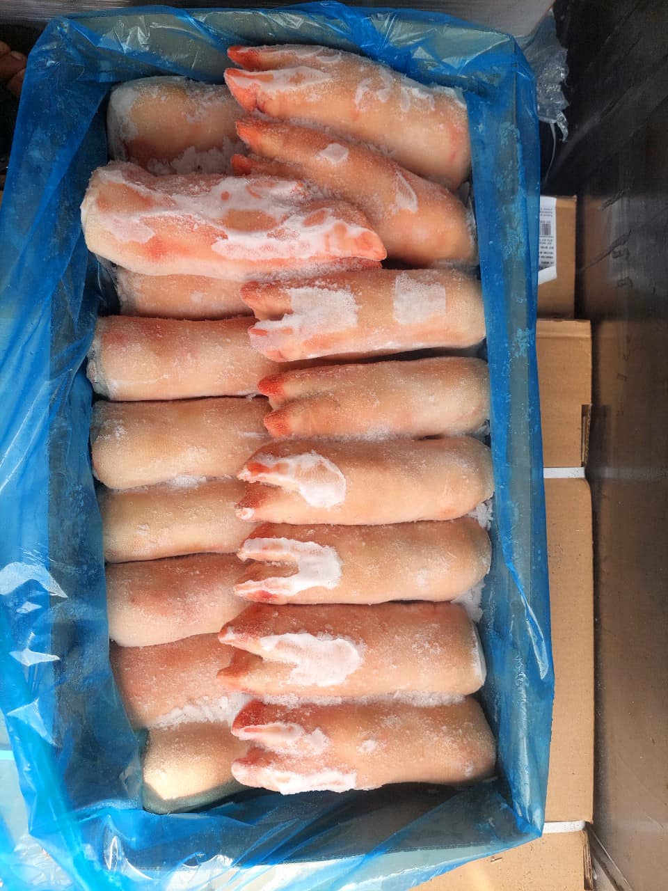 chân heo trước animex ba lan