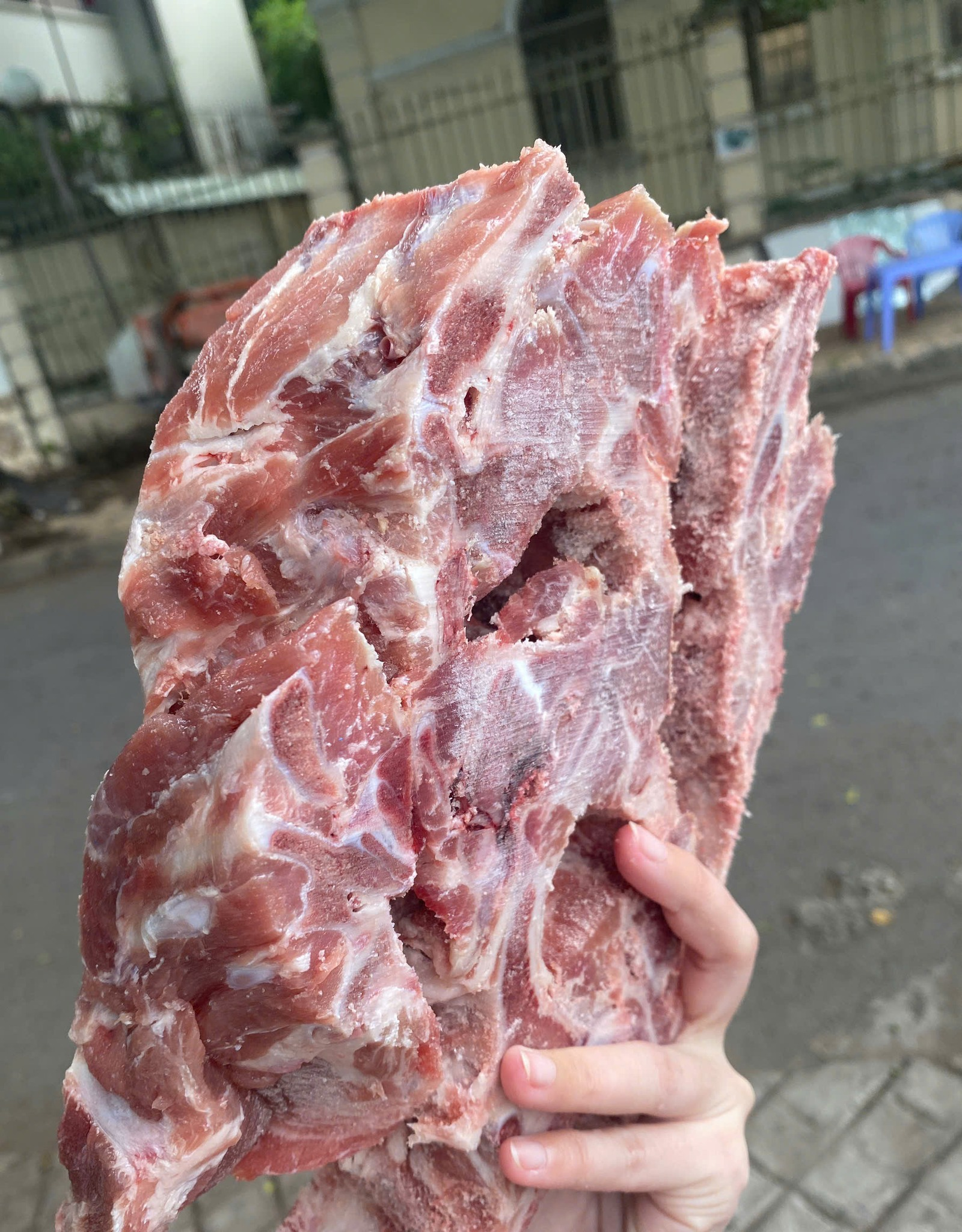 xương cổ heo đông lạnh nhập khẩu brazil