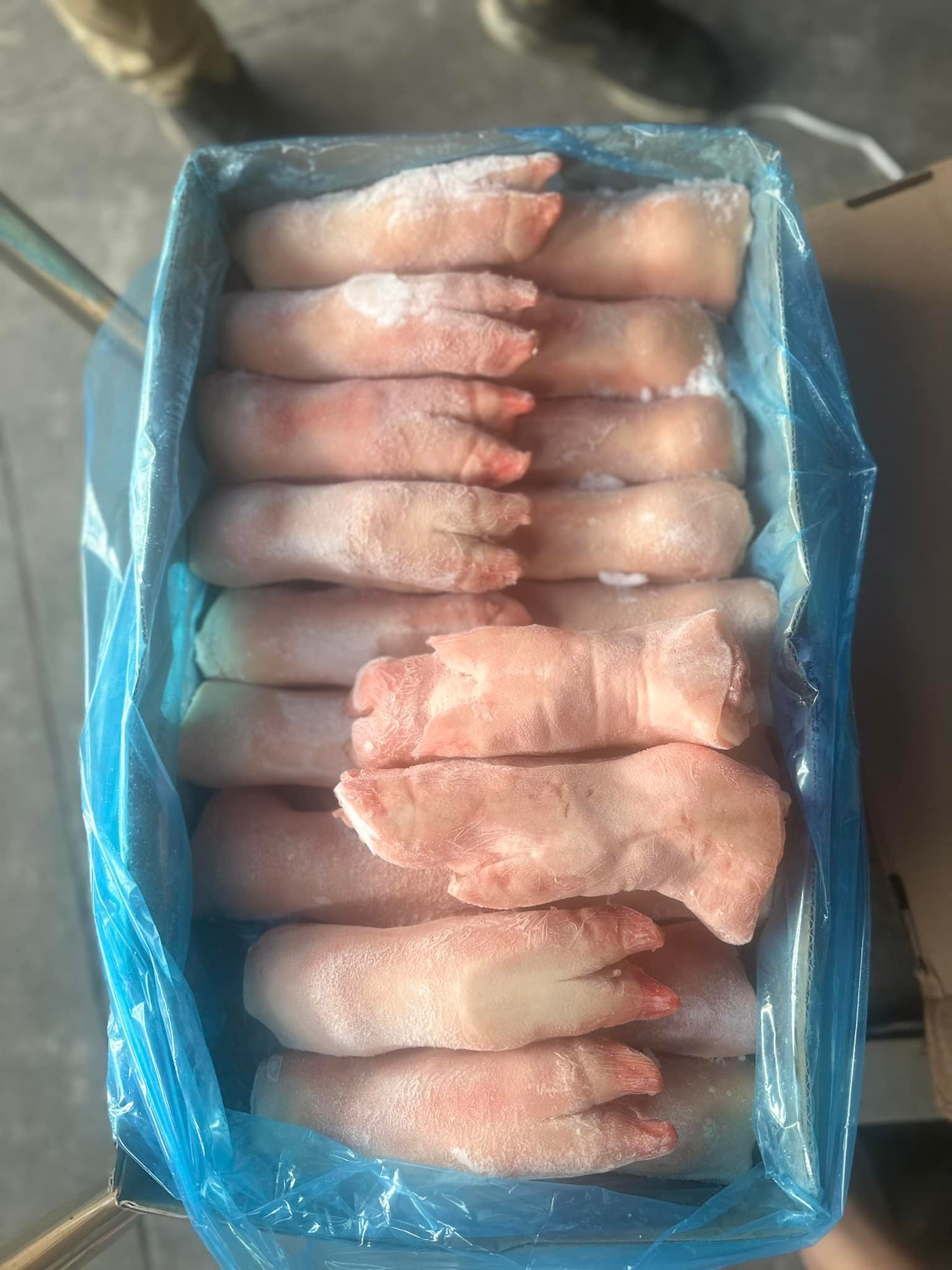 dựng heo sau animex k4 giá sỉ