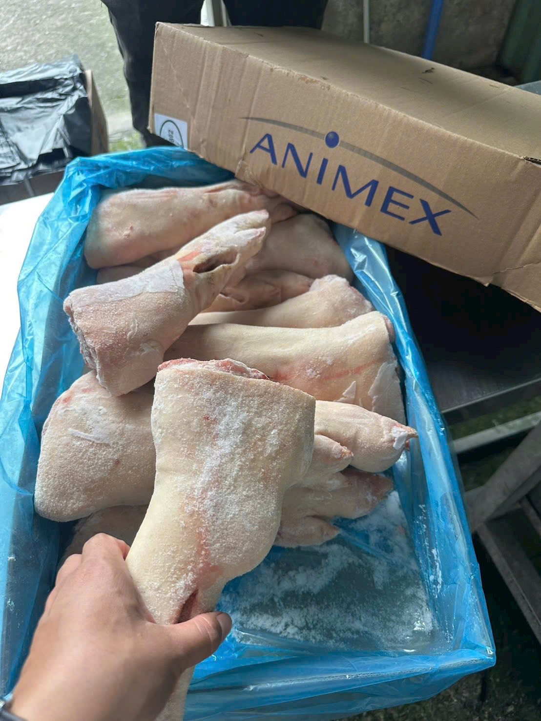 dựng heo sau animex giá sỉ